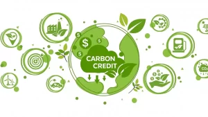 Beyond Emissions: The Critical Role of Carbon Credits in Global Climate Strategy