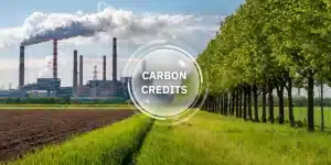 Carbon Credits in Action: Balancing Emissions Reduction and Market Dynamics