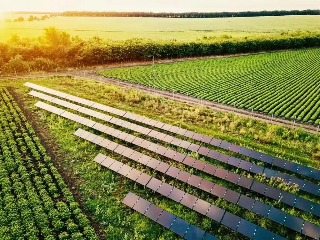 Sustainable Agriculture as a Problem Solver of Global Challenges